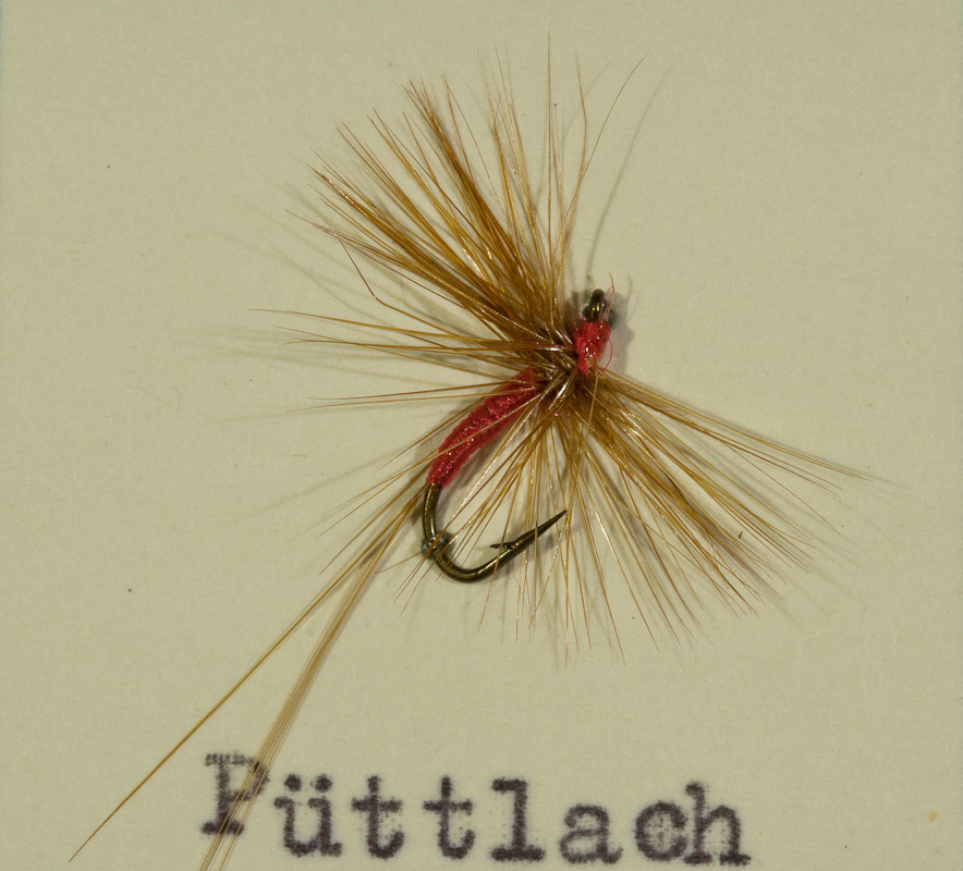P�ttlach rot/Ginger