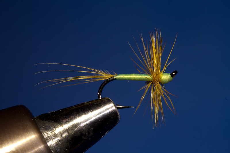 P�ttlach - chartreuse-ginger
