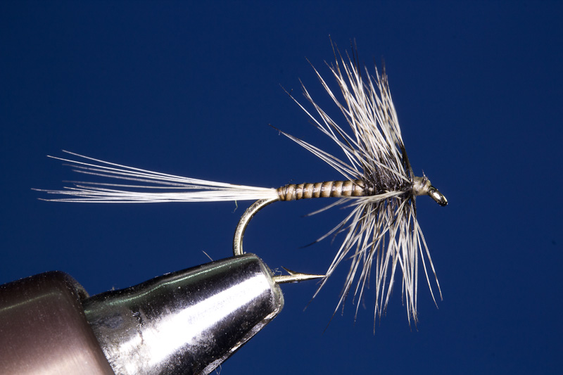 Badger Hackle