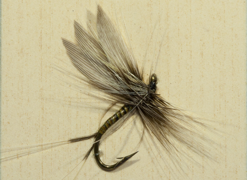 Badger Quill