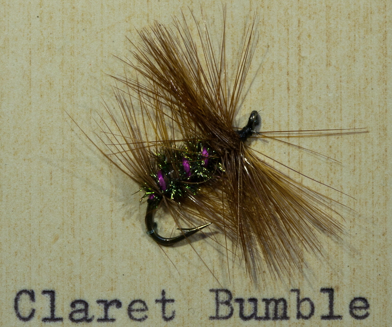 Claret Bumble