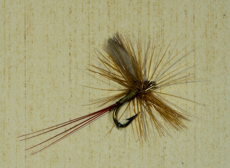 Goldfliege