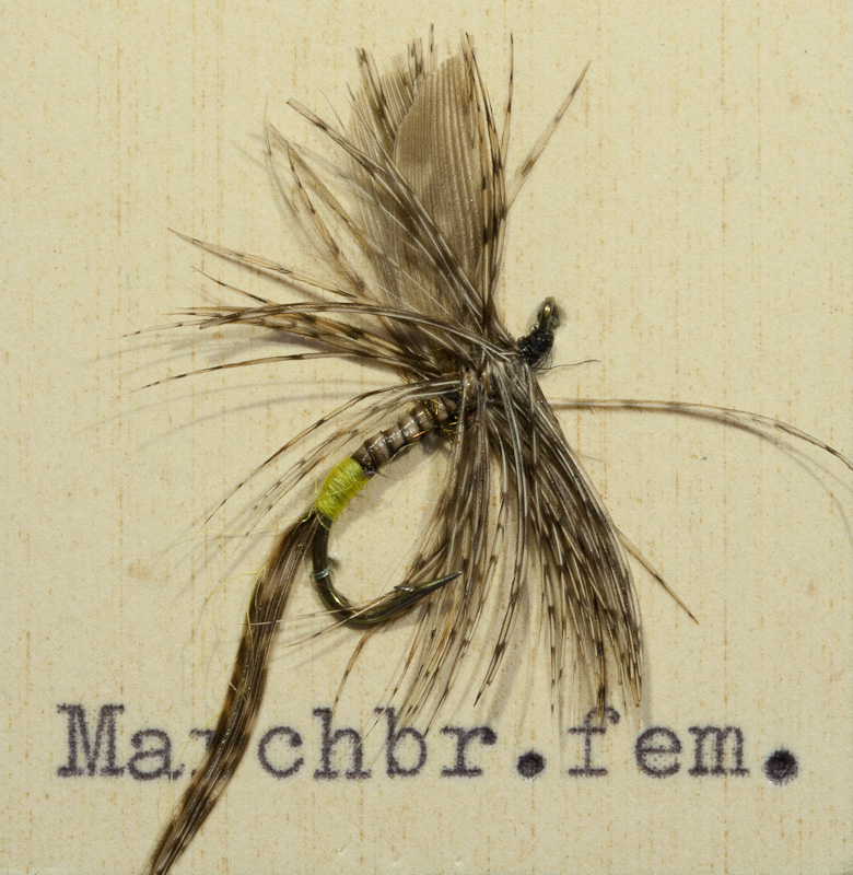 M�rzbraune weiblich