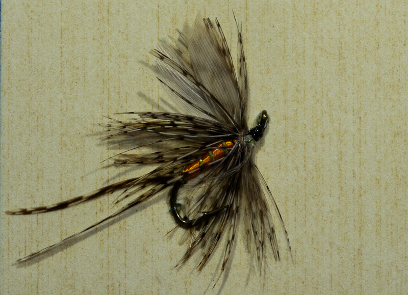Orange M�rzbraune