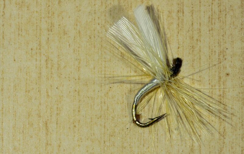 White Midge
