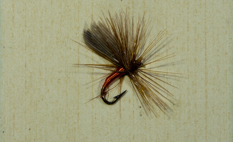 Red Midge