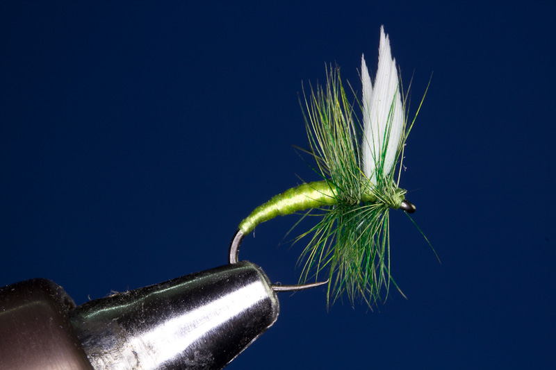 Green Midge