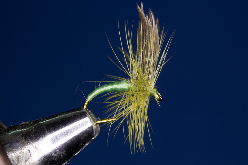 Apple Green Midge - Apfelgr�ne M�cke