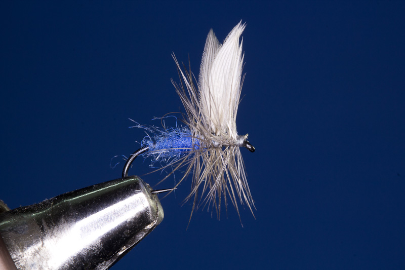 Sky Blue - Himmelblaue