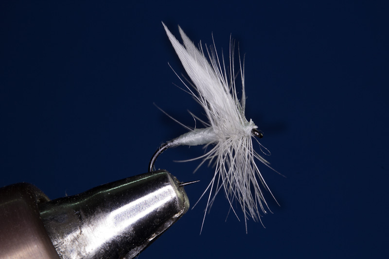 White Midge - wei�e M�cke