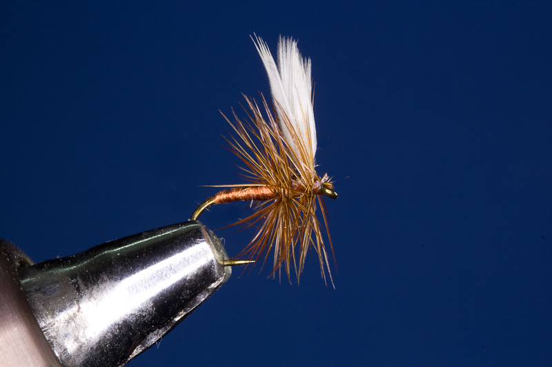 Tred Midge - rote M�cke