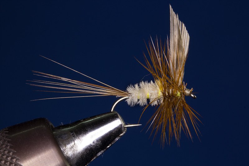 Pheasant Tail?