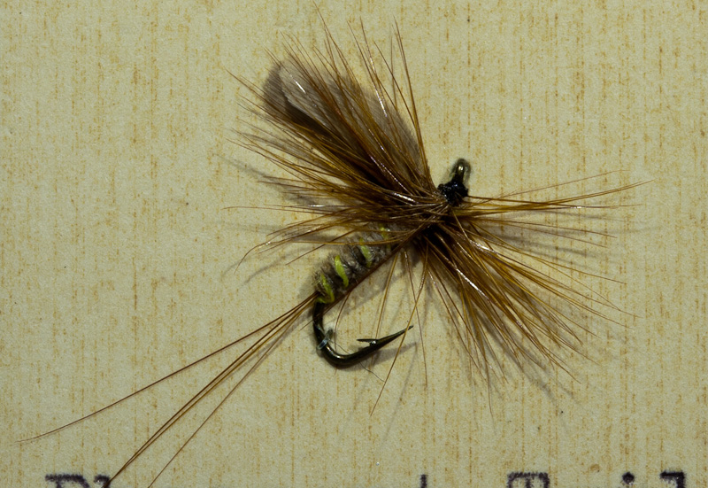 Pheasant Tail