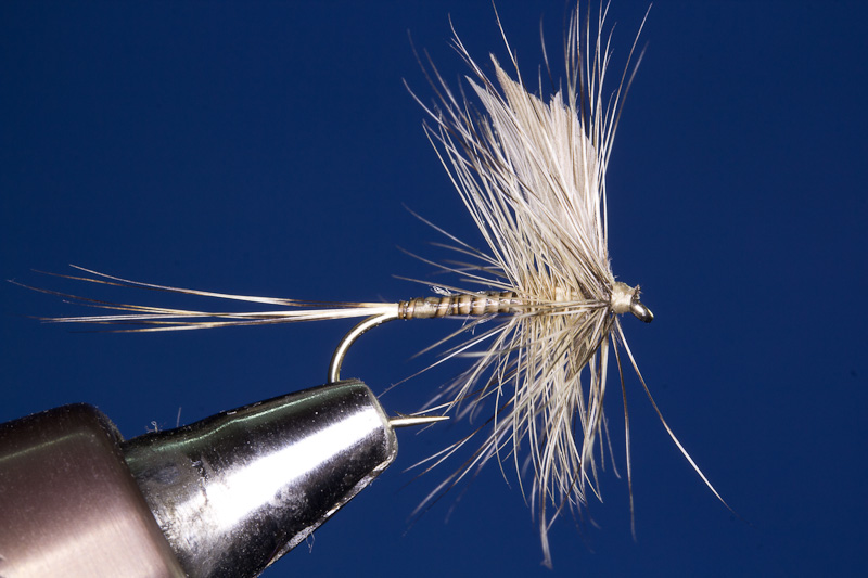 Blue Quill