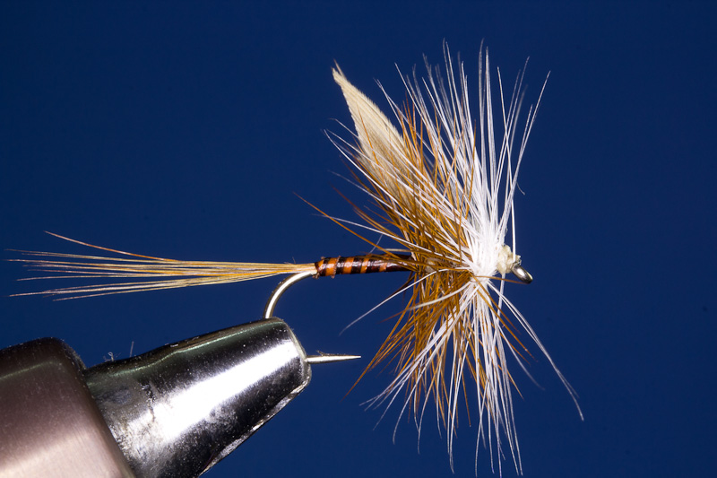 Hofland Quill