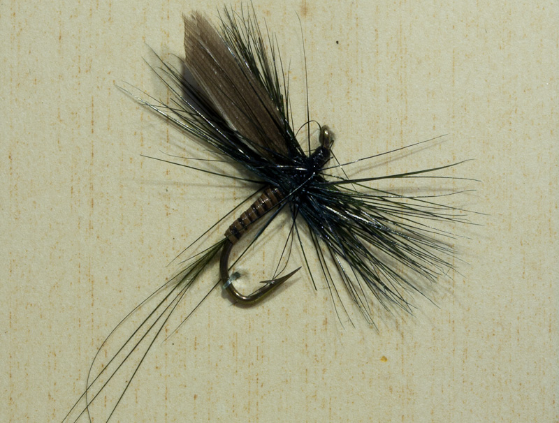 Iron Blue Quill