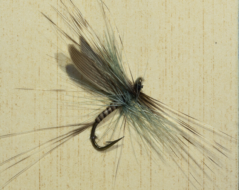 Blue Quill