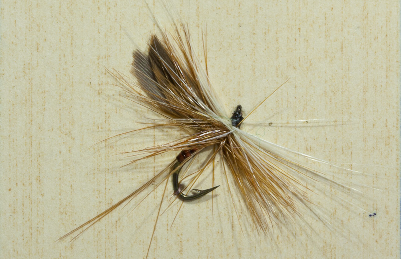 Hofland Quill