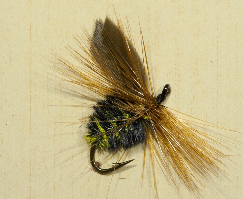 Wasp Fly